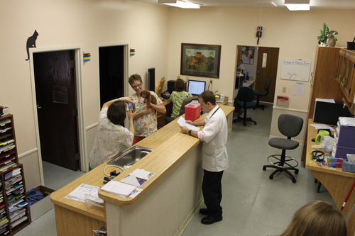 Noah's Landing reception area