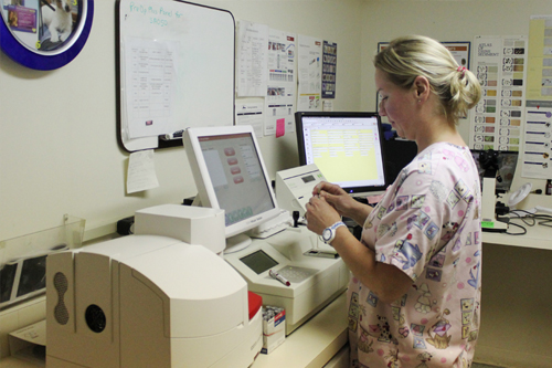 Technician in the lab