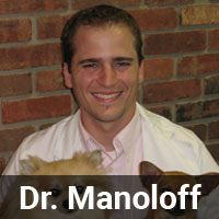 Dr. Manoloff