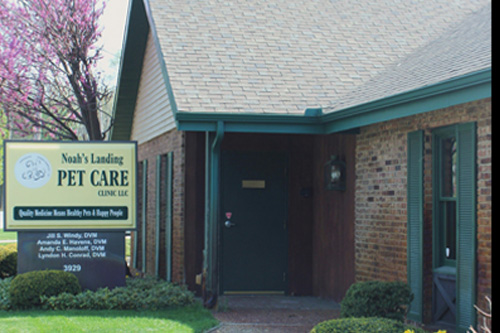 Noah's Landing Pet Care picture from outside