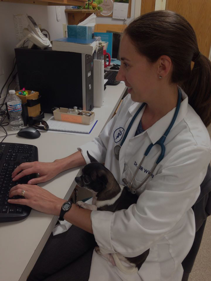 Vet on computer with dog on her lap